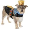 Frisco Royal Pharoah Dog & Cat Costume 1 Frisco Royal Pharoah Dog & Cat Costume -Dog Supplies Shop 335114 MAIN. AC SS1800 V1658346560