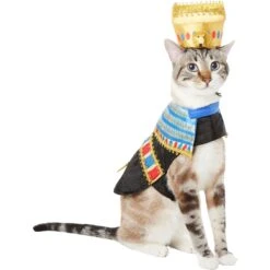 Frisco Royal Pharoah Dog & Cat Costume 12 Frisco Royal Pharoah Dog & Cat Costume -Dog Supplies Shop 335114 PT2. AC SS1800 V1658349300