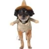 Frisco Front Walking Scarecrow Dog & Cat Costume -Dog Supplies Shop 335135 MAIN. AC SS1800 V1658349298