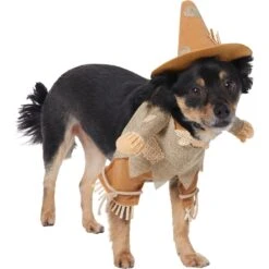 Frisco Front Walking Scarecrow Dog & Cat Costume -Dog Supplies Shop 335135 PT3. AC SS1800 V1658349680