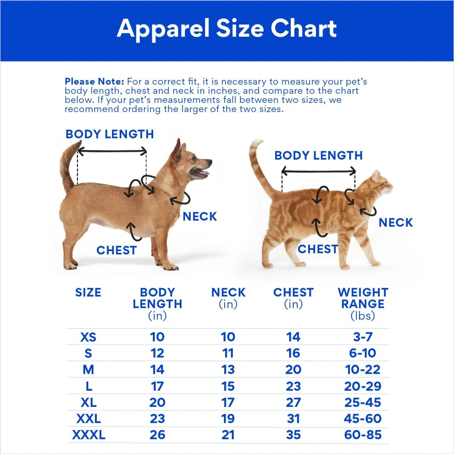 STAR WARS R2-D2 & Jawas Dog & Cat Costume 4 STAR WARS R2-D2 & Jawas Dog & Cat Costume - Image 2