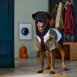 Marvel 's Loki Varient Lightweight Dog & Cat Jacket -Dog Supplies Shop 335269 PT8. AC SS1800 V1657656950