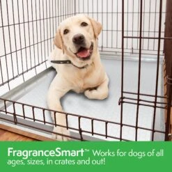 Simple Solution FragranceSmart Odor Control All Day, Green Tea Fragrance Odor Neutralizer With Wetness Indicator Dog Pads, 100 Count -Dog Supplies Shop 339752 PT5. AC SS1800 V1636062089