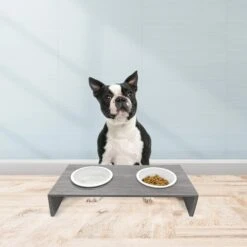 Cosmo Furbabies Double Dog & Cat Diner, Gray -Dog Supplies Shop 341993 PT5. AC SS1800 V1636063012