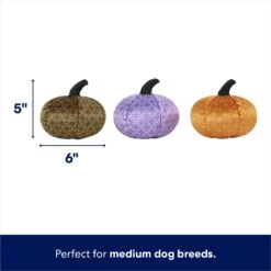 Frisco Halloween Bougie Pumpkins Plush Squeaky Dog Toy 8 Frisco Halloween Bougie Pumpkins Plush Squeaky Dog Toy -Dog Supplies Shop 344016 PT1. AC SS1800 V1689877467