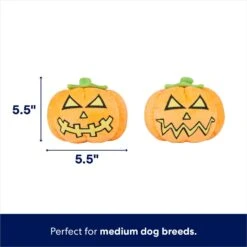Frisco Halloween Scary Jack-O-Lantern Plush Squeaky Dog Toy -Dog Supplies Shop 344158 PT1. AC SS1800 V1689877633