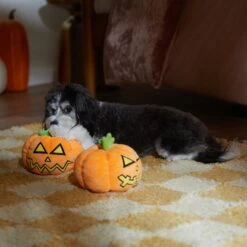 Frisco Halloween Scary Jack-O-Lantern Plush Squeaky Dog Toy -Dog Supplies Shop 344158 PT3. AC SS1800 V1657657048