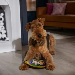 Disney Villains Evil Queen Mirror Flat Plush Squeaky Dog Toy 7 Disney Villains Evil Queen Mirror Flat Plush Squeaky Dog Toy -Dog Supplies Shop 344473 PT3. AC SS1800 V1657657086