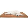 Pet Adobe Foam Covered Dog Bed -Dog Supplies Shop 344921 MAIN. AC SS1800 V1637283134