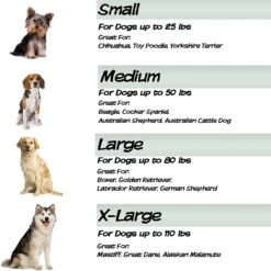 Pet Adobe Cot-Style Elevated Pet Bed -Dog Supplies Shop 344932 PT4. AC SS1800 V1637282828