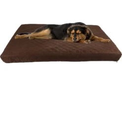 Pet Adobe Waterproof Indoor/Outdoor Memory Foam Dog Bed