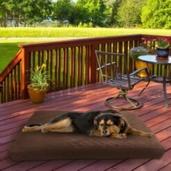Pet Adobe Waterproof Indoor/Outdoor Memory Foam Dog Bed -Dog Supplies Shop 345008 PT5. AC SS1800 V1637279572