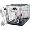 Pet Adobe 2-Door Medium Foldable Dog Crate -Dog Supplies Shop 345016 MAIN. AC SS1800 V1637284985