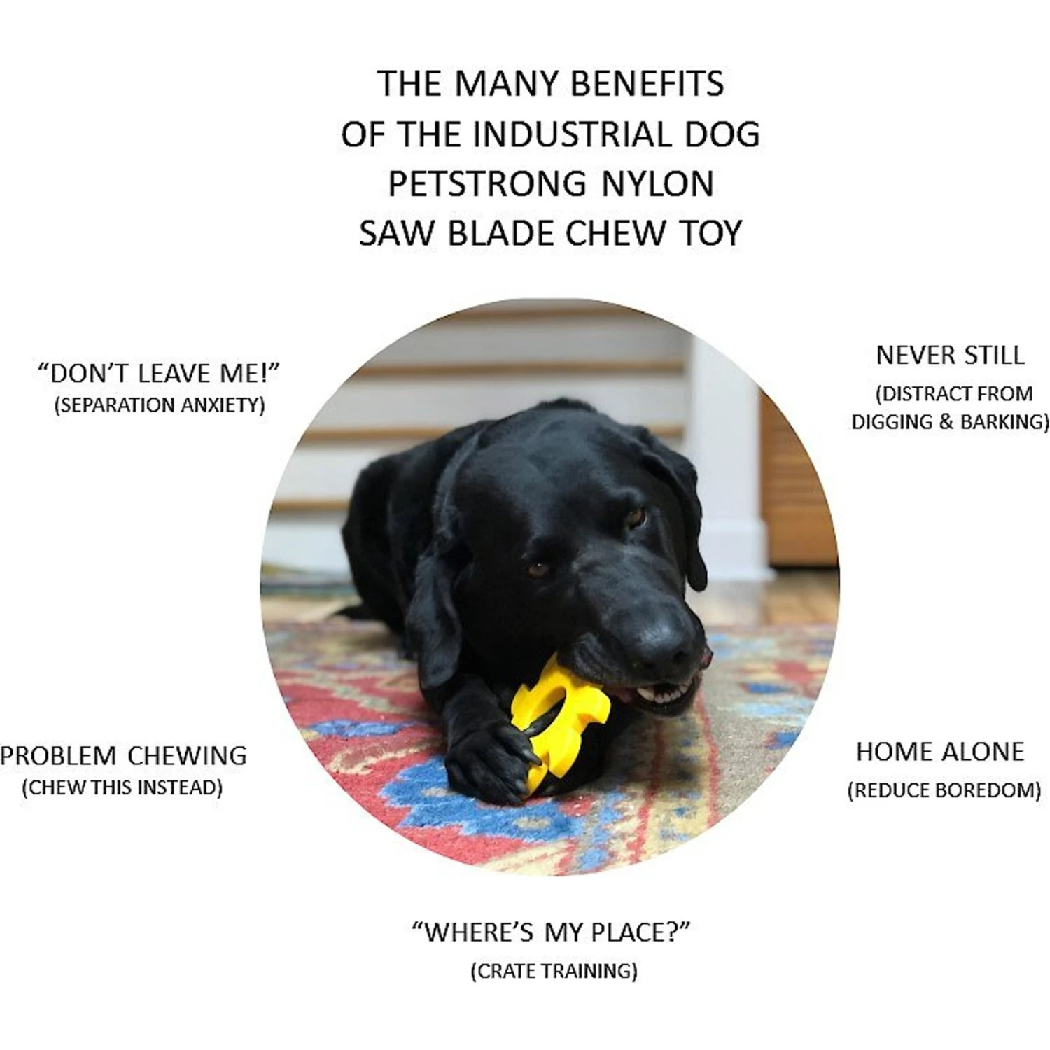 SodaPup Nylon Circular Saw Chew Dog Toy 7 SodaPup Nylon Circular Saw Chew Dog Toy - Image 5