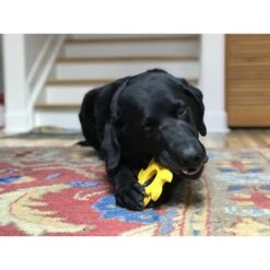 SodaPup Nylon Circular Saw Chew Dog Toy 16 SodaPup Nylon Circular Saw Chew Dog Toy -Dog Supplies Shop 347040 PT6. AC SS1800 V1638339723