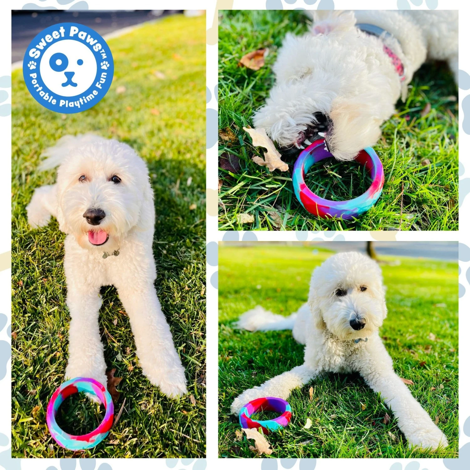 Sweet Paws Chunky Wearable Puppy Teether Dog Toy 4 Sweet Paws Chunky Wearable Puppy Teether Dog Toy - Image 2