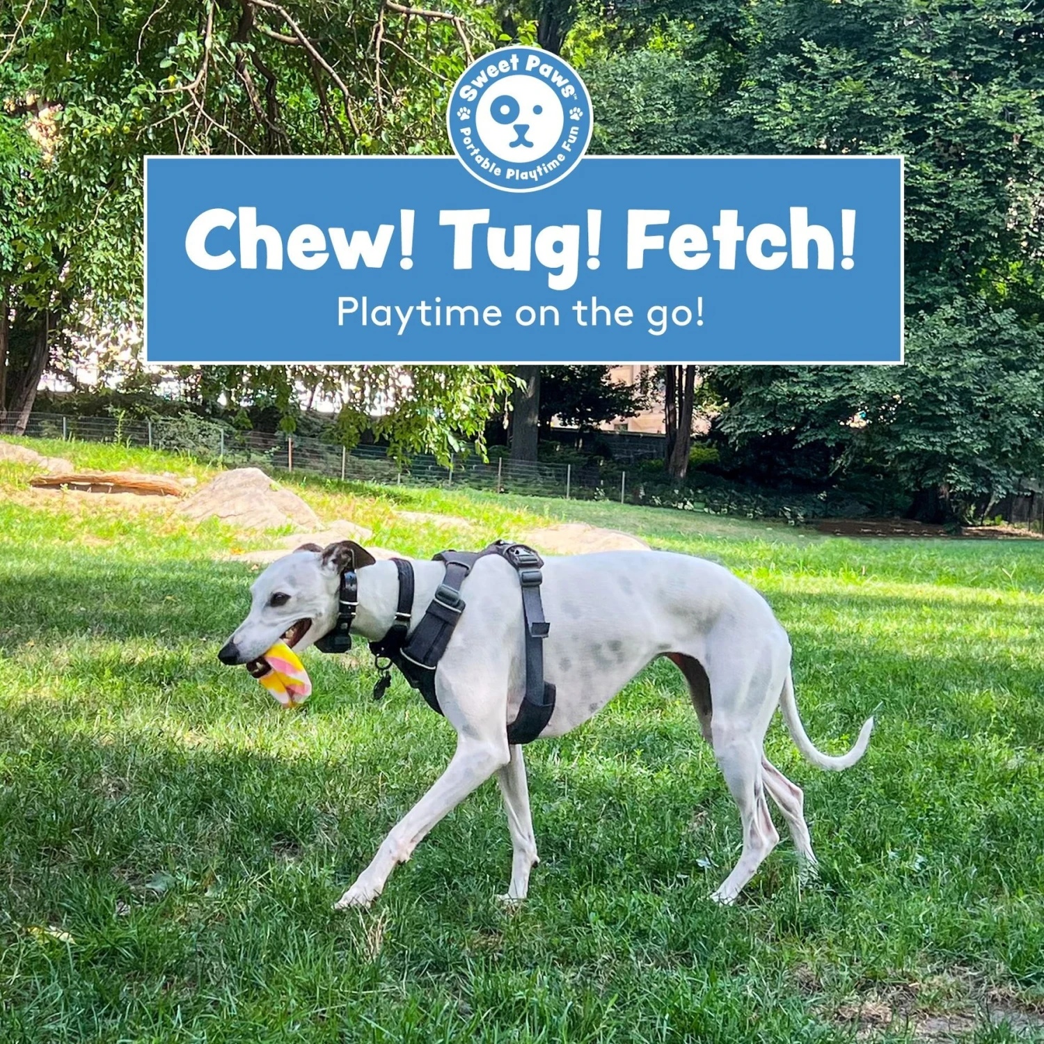 Sweet Paws Chunky Wearable Puppy Teether Dog Toy 6 Sweet Paws Chunky Wearable Puppy Teether Dog Toy - Image 4