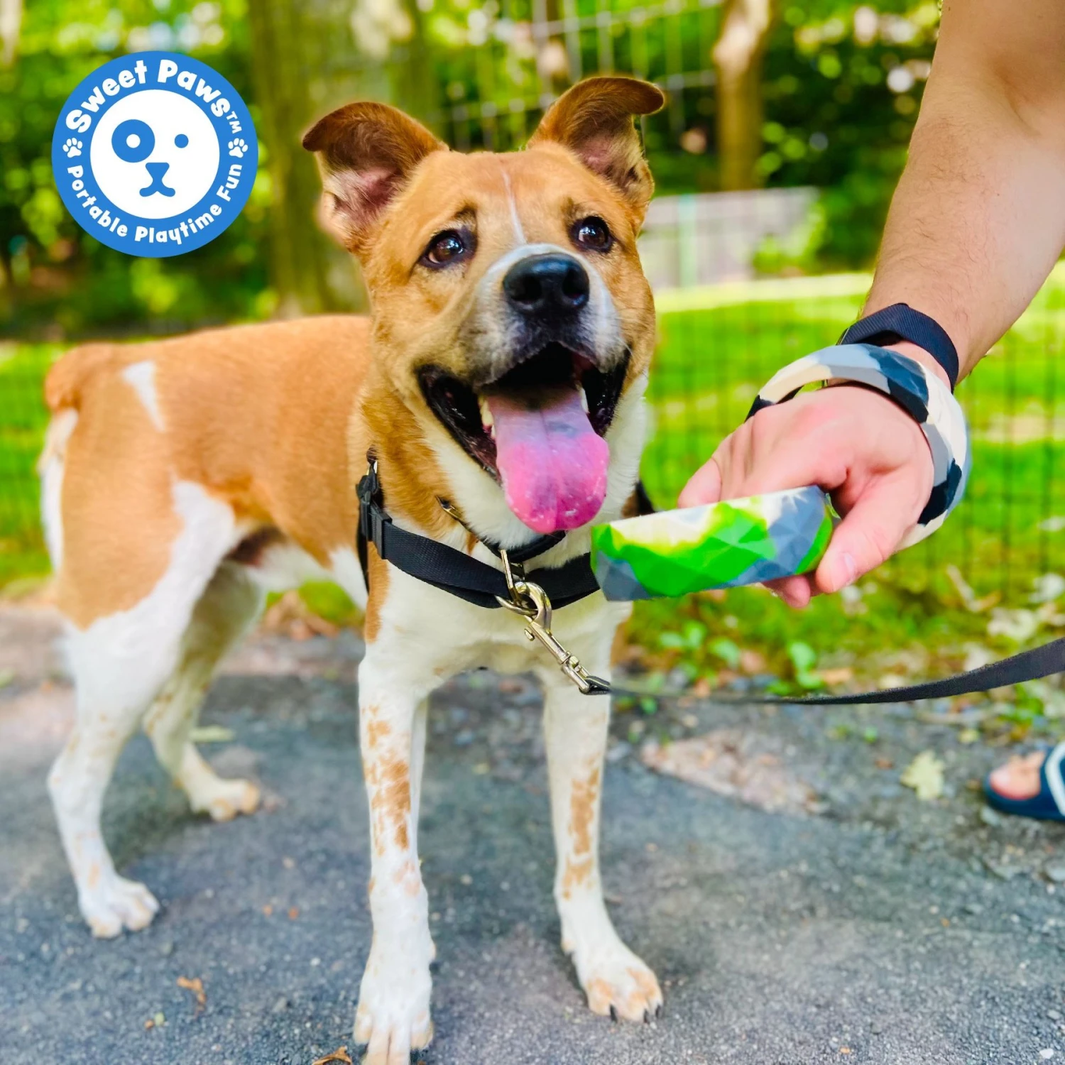 Sweet Paws Chunky Wearable Puppy Teether Dog Toy 10 Sweet Paws Chunky Wearable Puppy Teether Dog Toy - Image 8