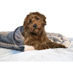 Archstone Pets Weighted Dog & Cat Blanket, Gray -Dog Supplies Shop 349099 PT2. AC SS1800 V1641920719
