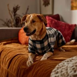 Frisco Plaid Dog & Cat Fleece Pajamas -Dog Supplies Shop 353755 PT6. AC SS1800 V1660749967