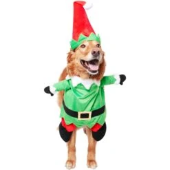 Frisco Front Walking Elf Dog & Cat Costume 14 Frisco Front Walking Elf Dog & Cat Costume -Dog Supplies Shop 357956 PT3. AC SS1800 V1660760416