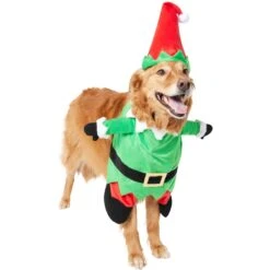 Frisco Front Walking Elf Dog & Cat Costume 15 Frisco Front Walking Elf Dog & Cat Costume -Dog Supplies Shop 357956 PT4. AC SS1800 V1660757458