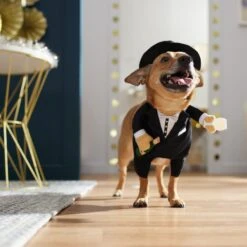 Frisco Front Walking New Years Tuxedo Dog & Cat Costume -Dog Supplies Shop 358028 PT7. AC SS1800 V1661799888