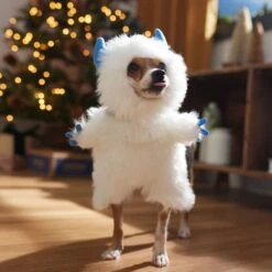 Frisco Front Walking Abominable Snowman Dog & Cat Costume -Dog Supplies Shop 358037 PT7. AC SS1800 V1661797473