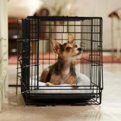 Frisco Adjustable Electrical Dog & Cat Heated Crate Mat With Timer -Dog Supplies Shop 358546 PT5. AC SS1800 V1662500981