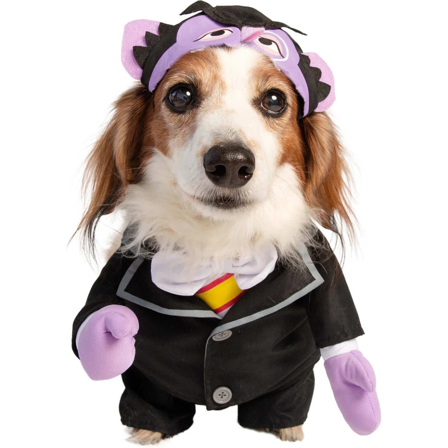 Pet Krewe Sesame Street The Count Dog Costume 3 Pet Krewe Sesame Street The Count Dog Costume