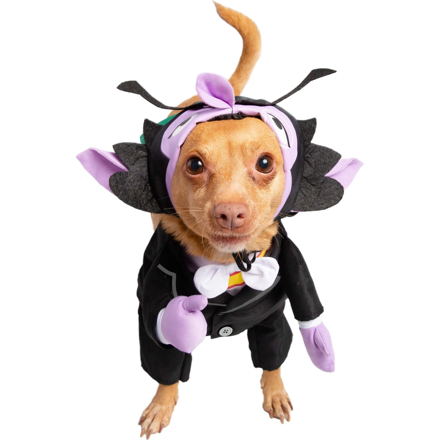 Pet Krewe Sesame Street The Count Dog Costume 4 Pet Krewe Sesame Street The Count Dog Costume - Image 2
