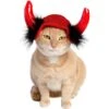 Pet Krewe Cat Devil Red Hat Dog Costume, One Size -Dog Supplies Shop 361138 MAIN. AC SS1800 V1648073515