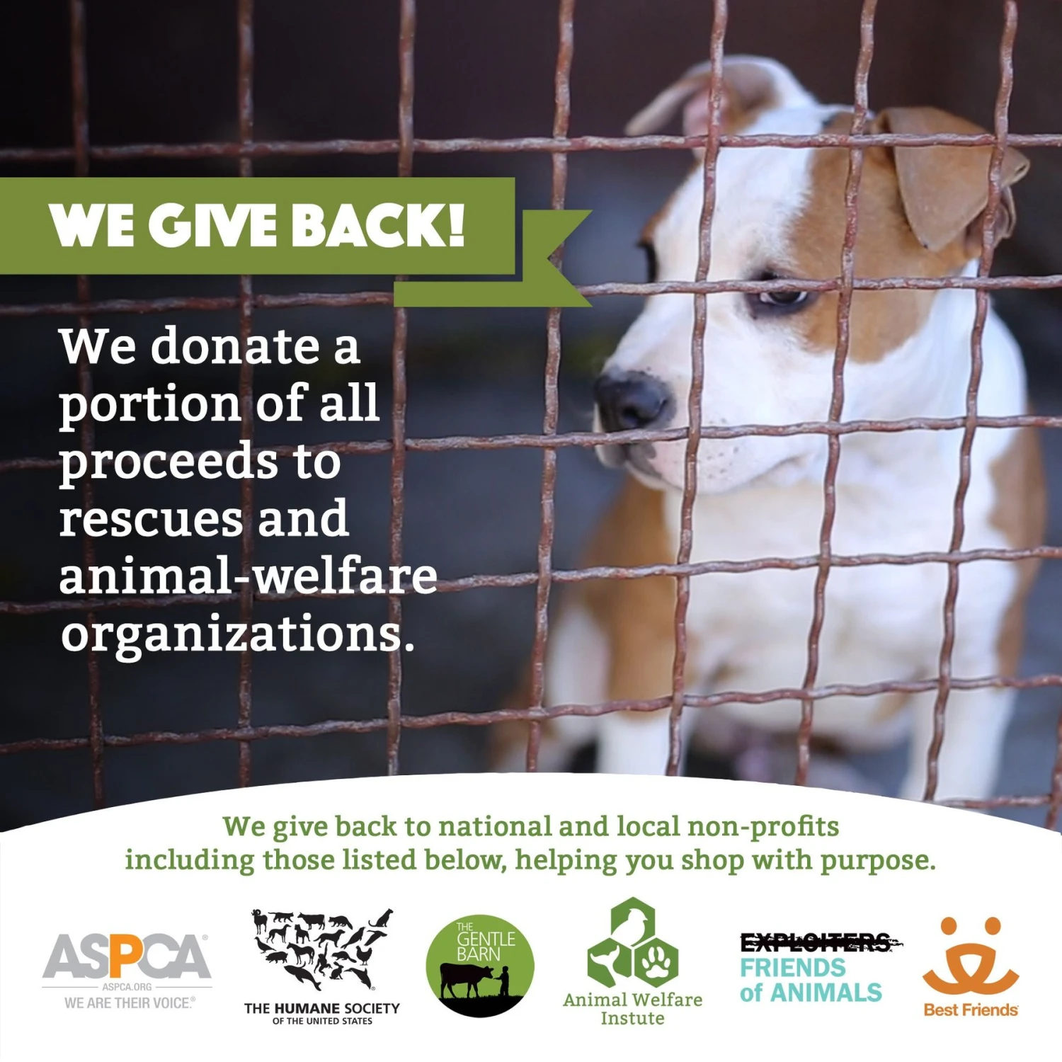 Doggy Do Good Certified Home Compostable Premium Dog & Cat Waste Bags - Handle Bags 9 Doggy Do Good Certified Home Compostable Premium Dog & Cat Waste Bags - Handle Bags - Image 7