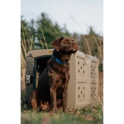 Dakota 283 G3 Framed Door Dog Kennel -Dog Supplies Shop 361542 PT3. AC SS1800 V1652768192