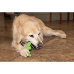 Hugglehounds LeLe Tuffut-Flex Flyer Dog Toy, Green -Dog Supplies Shop 362026 PT7. AC SS1800 V1644018113