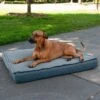 FurHaven Quilt Top Memory Foam Convertible Indoor/Outdoor Cat & Dog Bed -Dog Supplies Shop 362129 MAIN. AC SS1800 V1645658789