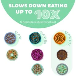 Dog Supplies Shop -Dog Supplies Shop 363002 PT1. AC SS1800 V1694440041