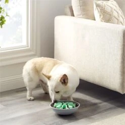 Outward Hound Fun Feeder Wobble Slo-Bowl Dog Bowl, Mint -Dog Supplies Shop 363002 PT5. AC SS1800 V1694287364