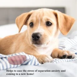 Pet Fit For Life Calming Dog Heartbeat Unit, Red, Small -Dog Supplies Shop 363335 PT4. AC SS1800 V1642776090