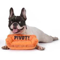Fetch For Pets Friends Pivot Couch Plush Squeak Dog Toy -Dog Supplies Shop 363766 PT3. AC SS1800 V1643251992