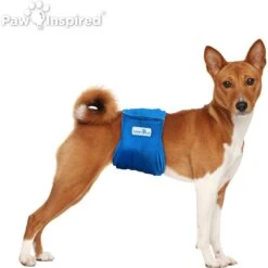 Paw Inspired Belly Band Male Dog Wrap Washable -Dog Supplies Shop 364124 PT3. AC SS1800 V1643818925