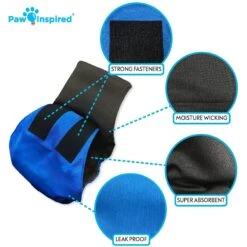Paw Inspired Belly Band Male Dog Wrap Washable -Dog Supplies Shop 364124 PT5. AC SS1800 V1643817986