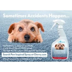 Paw Inspired Belly Band Male Dog Wrap Washable -Dog Supplies Shop 364124 PT6. AC SS1800 V1643819846