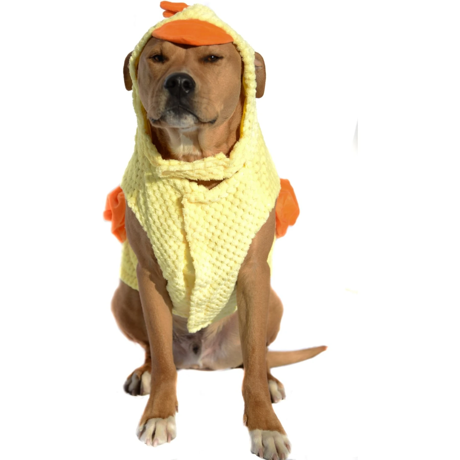 Royal Animals Chicken Dog Costume 5 Royal Animals Chicken Dog Costume - Image 3