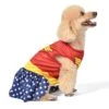 Fetch For Pets DC Comics Wonderwoman Halloween Dog Costume 2 Fetch For Pets DC Comics Wonderwoman Halloween Dog Costume -Dog Supplies Shop 364656 MAIN. AC SS1800 V1659806907