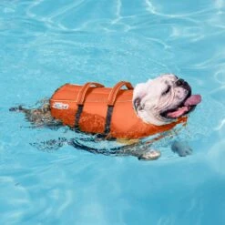 Outward Hound Granby Splash Dog Life Jacket -Dog Supplies Shop 367127 PT5. AC SS1800 V1645229791