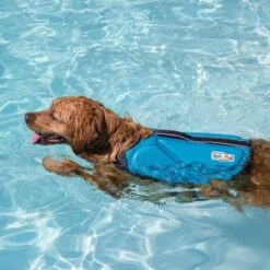 Outward Hound Dawson Swim Dog Life Jacket 13 Outward Hound Dawson Swim Dog Life Jacket -Dog Supplies Shop 367143 PT5. AC SS1800 V1645229790