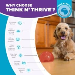 Planet Dog Orbee-Tuff Lil' Snoop Interactive Treat Dispensing Dog Toy -Dog Supplies Shop 367755 PT5. AC SS1800 V1687966990