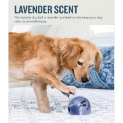 Planet Dog Orbee-Tuff Essentials Lavender Scented Interactive Dog Ball Treat Dispenser Toy, Purple -Dog Supplies Shop 367761 PT1. AC SS1800 V1675356347