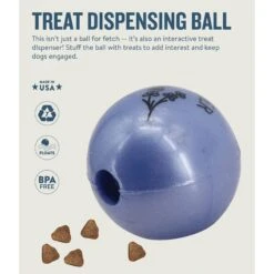 Planet Dog Orbee-Tuff Essentials Lavender Scented Interactive Dog Ball Treat Dispenser Toy, Purple -Dog Supplies Shop 367761 PT2. AC SS1800 V1675356895